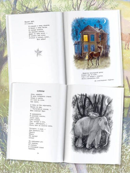 Фотография книги "Аким: Весело мне! Стихи и сказка"