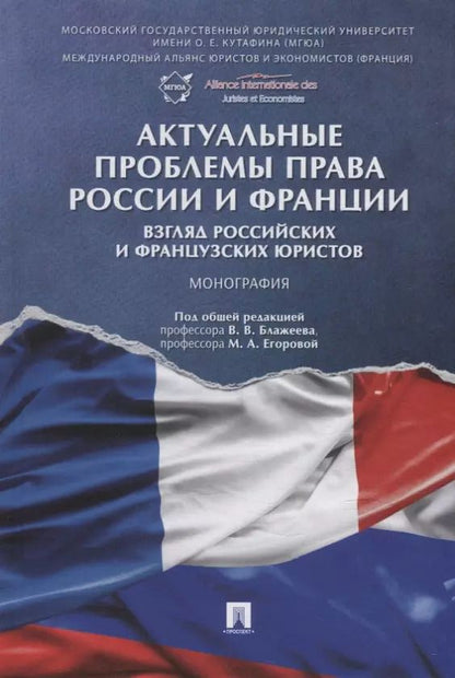 Обложка книги "Актуальные проблемы права России и Франции: взгляд российских и французских юристов. Монография"