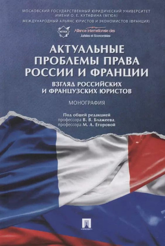 Обложка книги "Актуальные проблемы права России и Франции: взгляд российских и французских юристов. Монография"