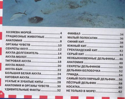 Фотография книги "Акулы, киты и дельфины"