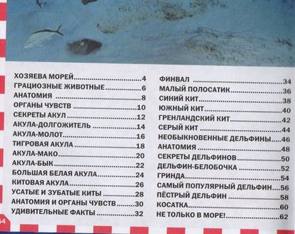 Фотография книги "Акулы, киты и дельфины"