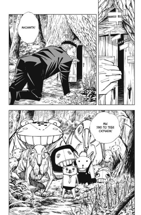 Фотография книги "Акутами: Магическая битва. Книга 9. Перелетный гусь. Пламя"