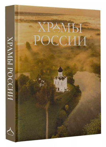 Фотография книги "Альбедиль, Бокова, Каширина: Храмы России"