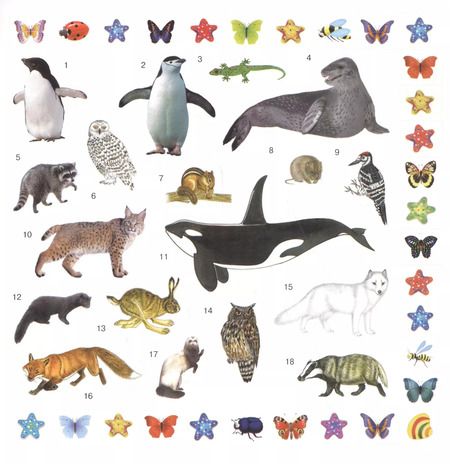 Фотография книги "Альбом250Наклеек Зверятки"