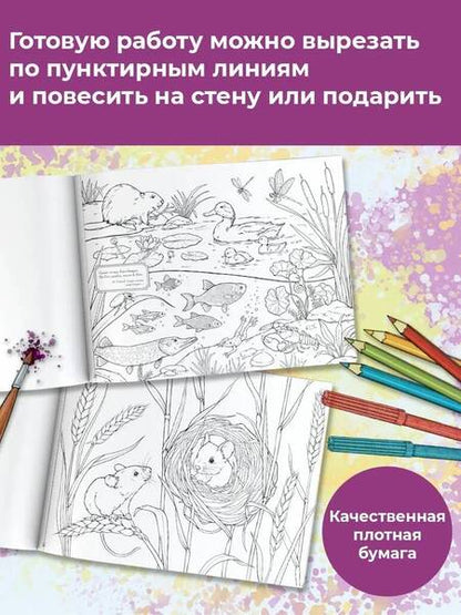 Фотография книги "Альбом для раскрашивания Моя любимая природа"