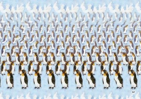 Фотография книги "Альбом для тренировки зрения. 83 стерео-картинки"