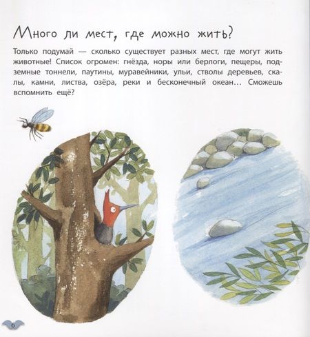 Фотография книги "Алехандро Альгарра: Где живут животные"