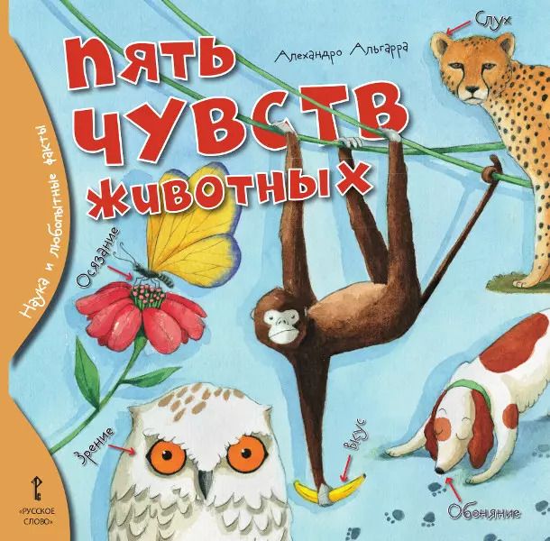 Обложка книги "Алехандро Альгарра: Пять чувств животных"