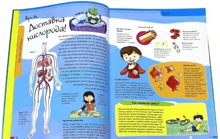 Фотография книги "Алехо Родригес-Вида: Тело человека. Нескучная анатомия"