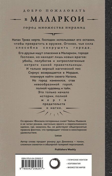 Фотография книги "Алекс Феби: Город Госпожи Забвения"