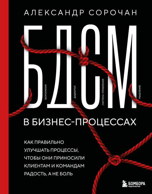 Обложка книги "Александр Александрович: БДСМ в бизнес-процессах. Как правильно улучшать процессы, чтобы они приносили клиентам и командам радость, а не боль"