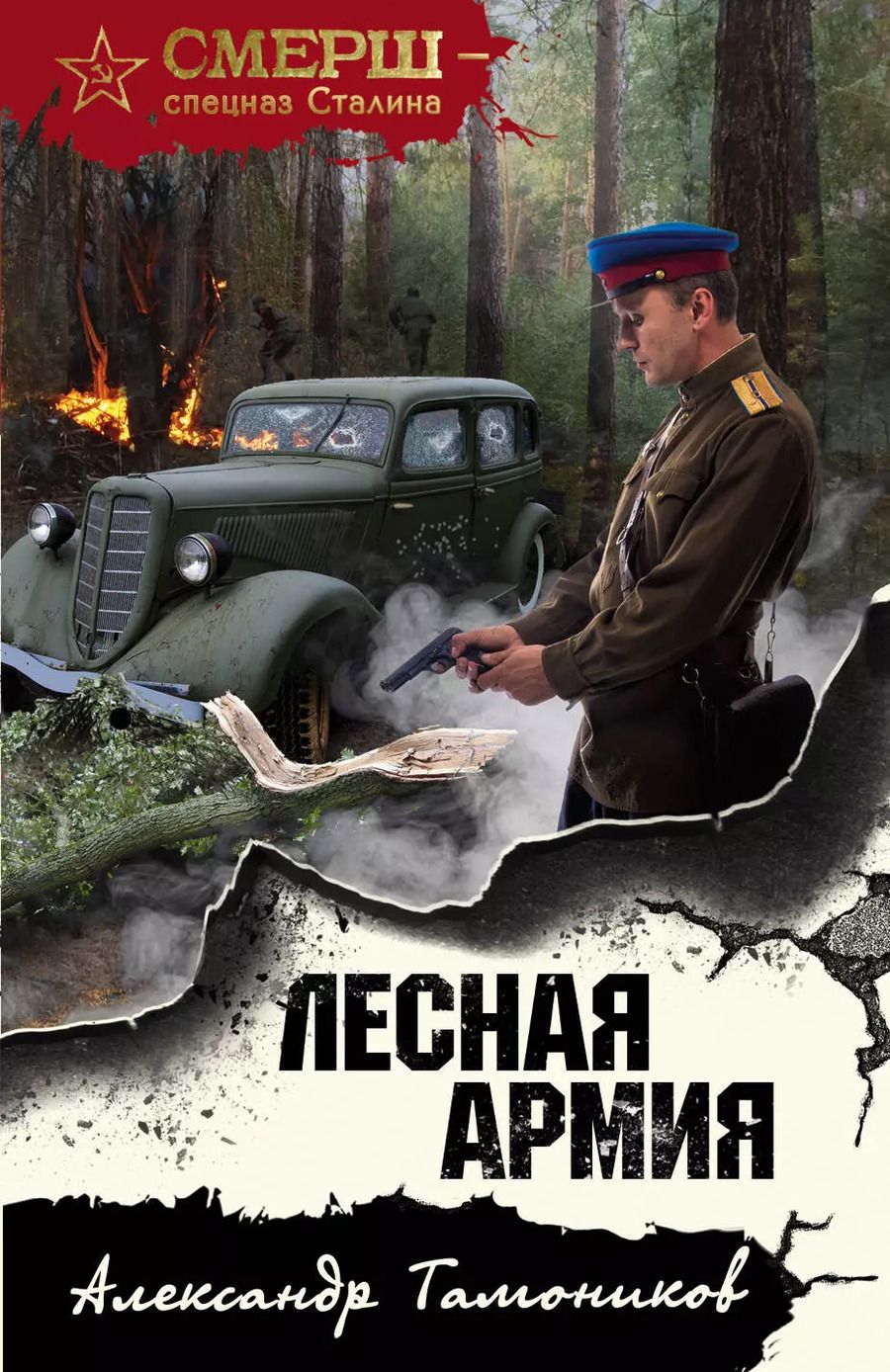 Обложка книги "Александр Александрович: Лесная армия"