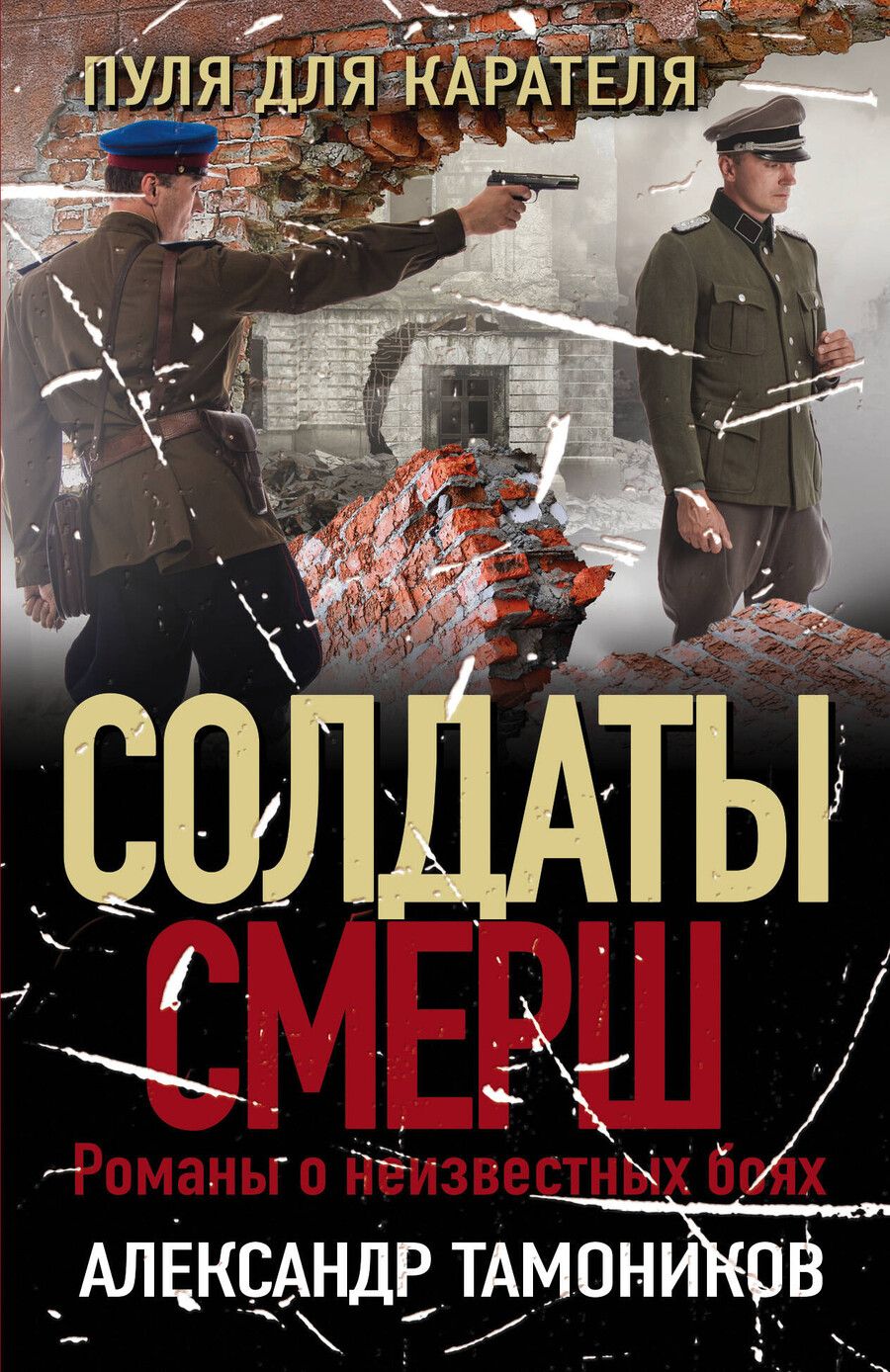Обложка книги "Александр Александрович: Пуля для карателя"