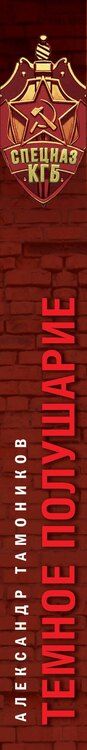 Фотография книги "Александр Александрович: Темное полушарие"