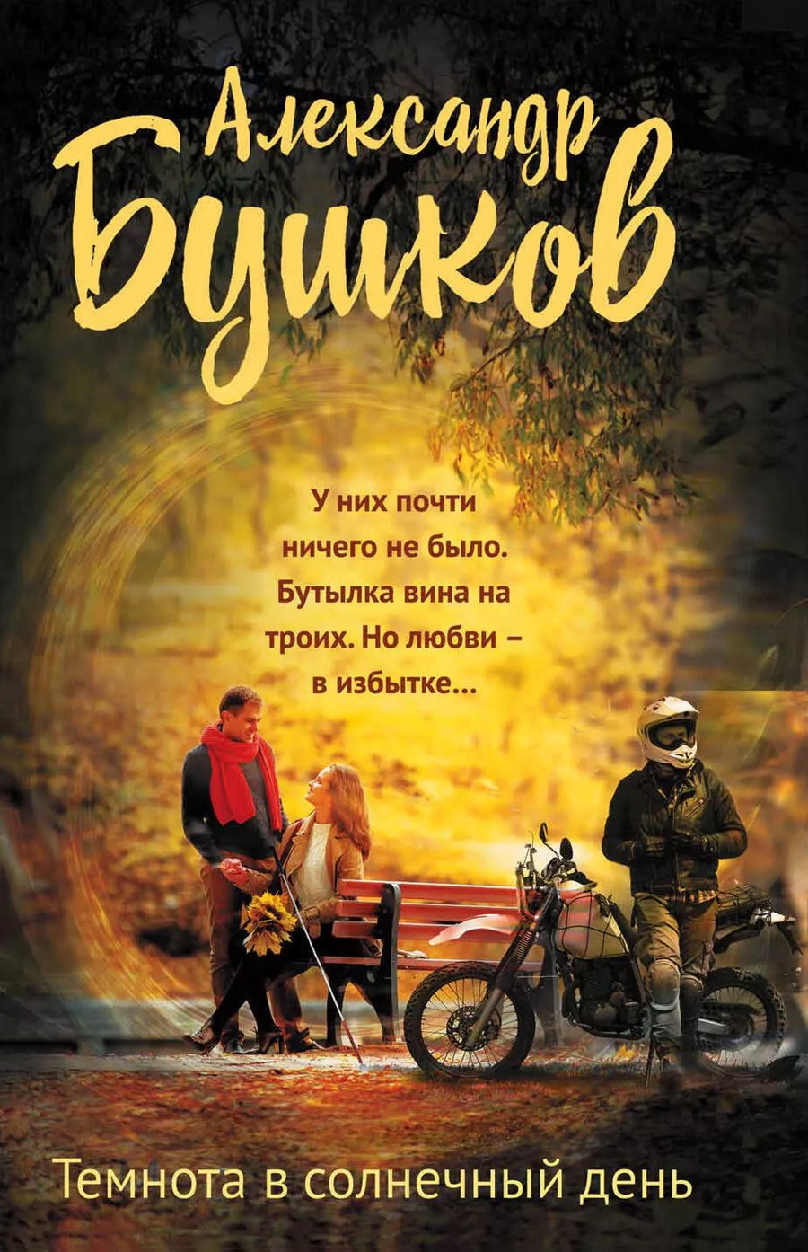Обложка книги "Александр Александрович: Темнота в солнечный день"