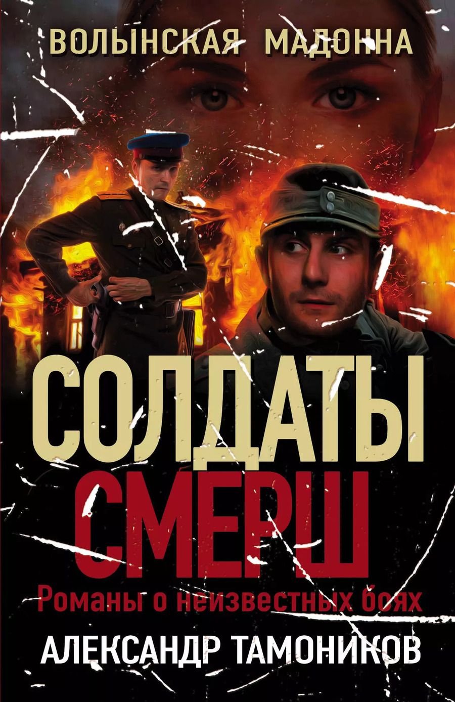 Обложка книги "Александр Александрович: Волынская мадонна"