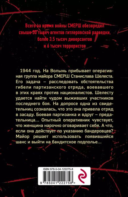 Фотография книги "Александр Александрович: Волынская мадонна"
