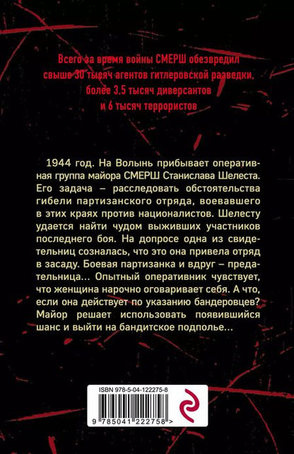 Фотография книги "Александр Александрович: Волынская мадонна"