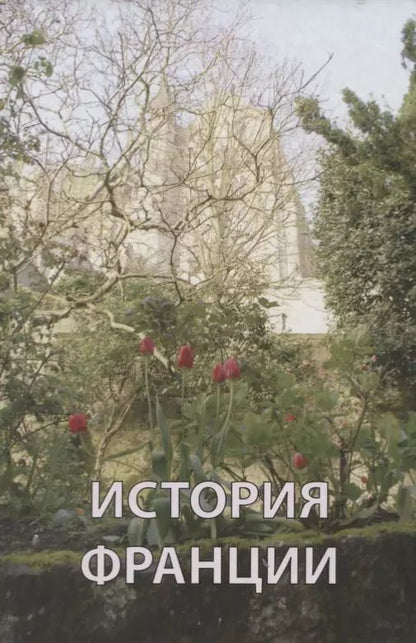 Обложка книги "Александр Андреев: История Франции (Андреев)"