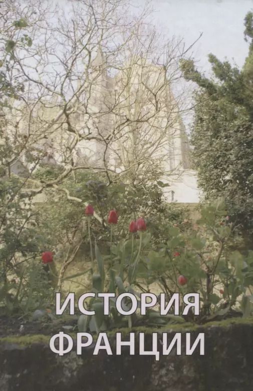 Обложка книги "Александр Андреев: История Франции (Андреев)"
