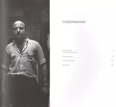 Фотография книги "Александр Боровский: Лурье Борис"