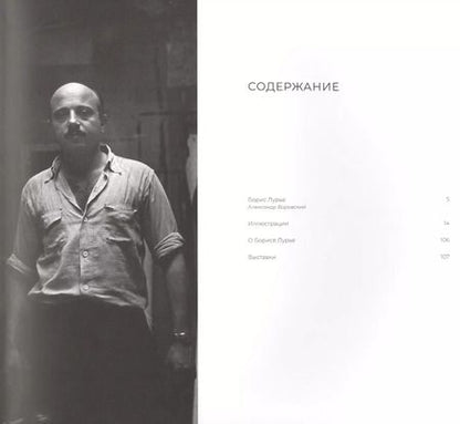 Фотография книги "Александр Боровский: Лурье Борис"
