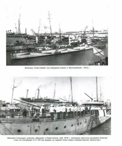 Фотография книги "Александр Чернышев: Эсминцы типа "Новик". Лучшие эсминцы Первой мировой"