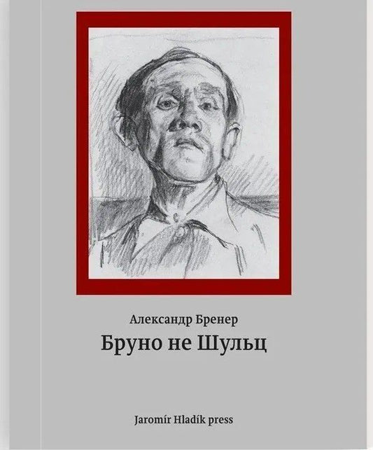 Обложка книги "Александр Давидович: Бруно не Шульц"