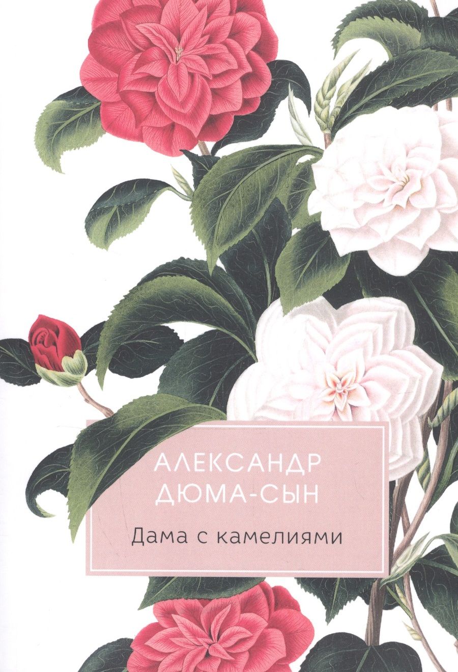 Обложка книги "Александр Дюма: Дама с камелиями"