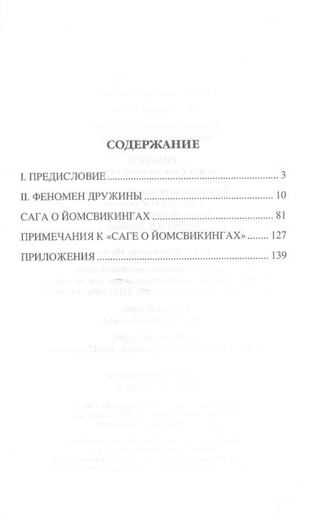 Фотография книги "Александр Фетисов: Викинги. Между Скандинавией и Русью"
