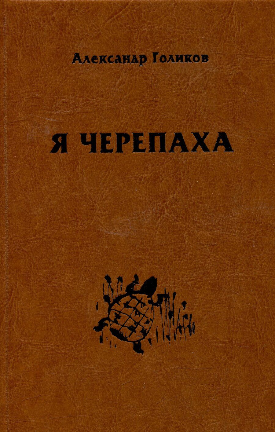 Обложка книги "Александр Голиков: Я черепаха"