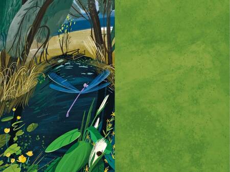 Фотография книги "Александр Григоренко: Потерял слепой дуду"