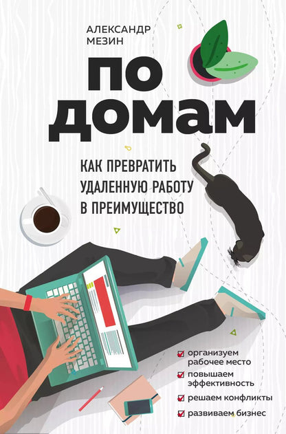 Обложка книги "Александр Игоревич: По домам. Как превратить удаленную работу в преимущество"