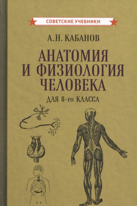 Обложка книги "Александр Кабанов: Учебник анатомии и физиологии человека для 8-го класса [1954]"