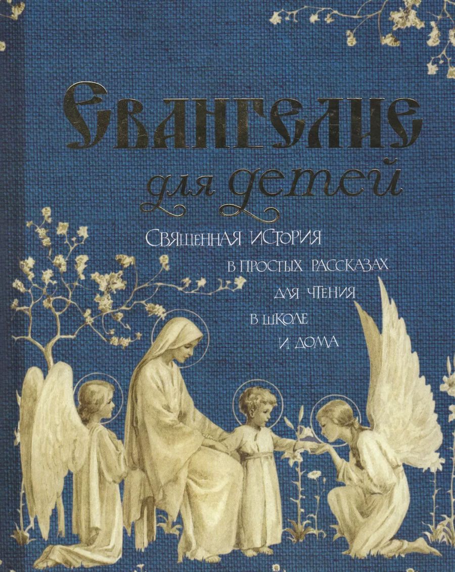 Обложка книги "Александр Худошин: Евангелие для детей. Священная История в простых рассказах для чтения в школе и дома"
