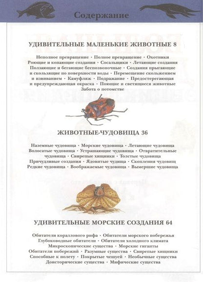 Фотография книги "Александр Ким: Большая детская энциклопедия"