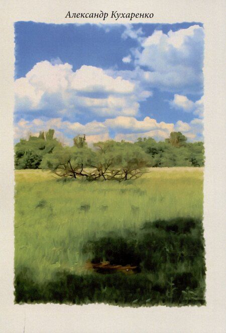 Фотография книги "Александр Кухаренко: Дорога домой"