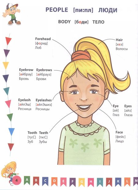 Фотография книги "Александр Курчаков: Английский словарь для дошколят в картинках"