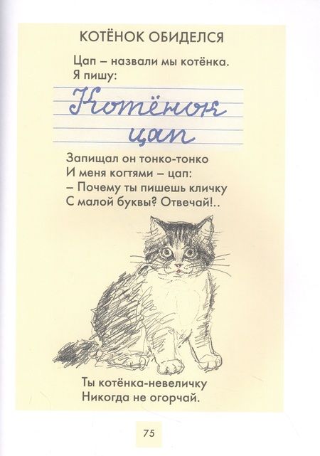 Фотография книги "Александр Кушнер: Хорошо иметь слона!"