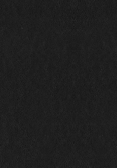 Фотография книги "Александр Македонский: О судьбе и доблести. Александр Македонский"