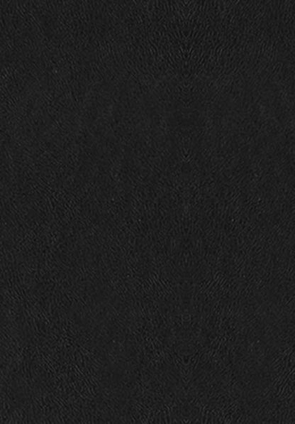 Фотография книги "Александр Македонский: О судьбе и доблести. Александр Македонский"