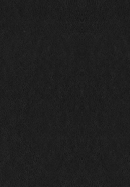 Фотография книги "Александр Македонский: О судьбе и доблести. Александр Македонский"