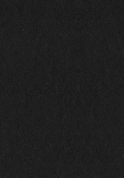 Фотография книги "Александр Македонский: О судьбе и доблести. Александр Македонский"