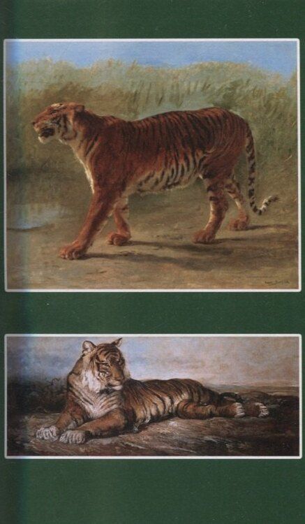 Фотография книги "Александр Максимов: На далеком Востоке. Том 2"