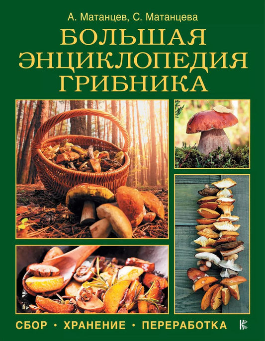 Обложка книги "Александр Матанцев: Большая энциклопедия грибника: сбор, хранение, переработка"