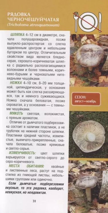Фотография книги "Александр Матанцев: КармАтлас- определитель(инт) Грибы. Иллюстрированный атлас-определитель"