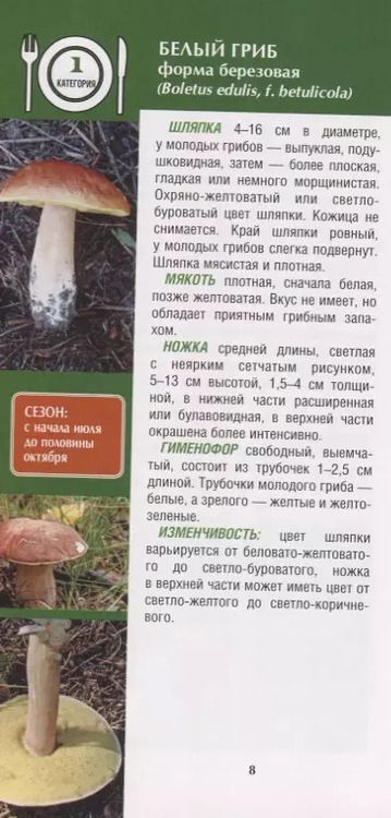 Фотография книги "Александр Матанцев: КармАтлас- определитель(инт) Грибы. Иллюстрированный атлас-определитель"