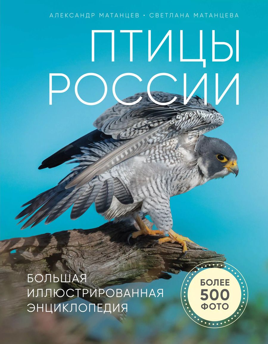 Обложка книги "Александр Матанцев: Птицы России. Большая иллюстрированная энциклопедия"