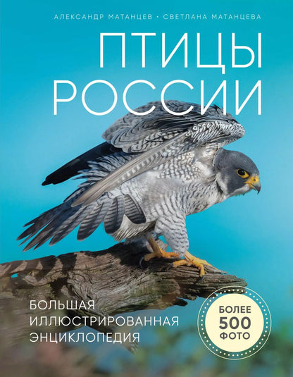 Обложка книги "Александр Матанцев: Птицы России. Большая иллюстрированная энциклопедия"