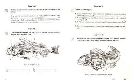 Фотография книги "Александр Никишов: Биология. 8 класс. Животные. Рабочая тетрадь"